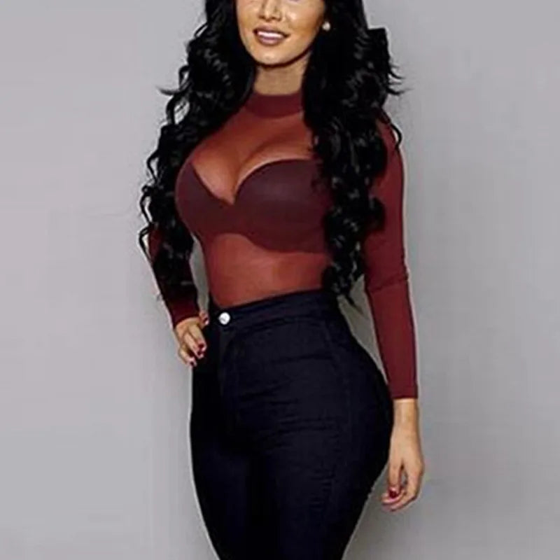 Sheer Mesh Turtleneck Long Sleeve Top