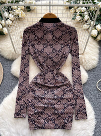 Lace Long Sleeve Bodycon Mini Dress
