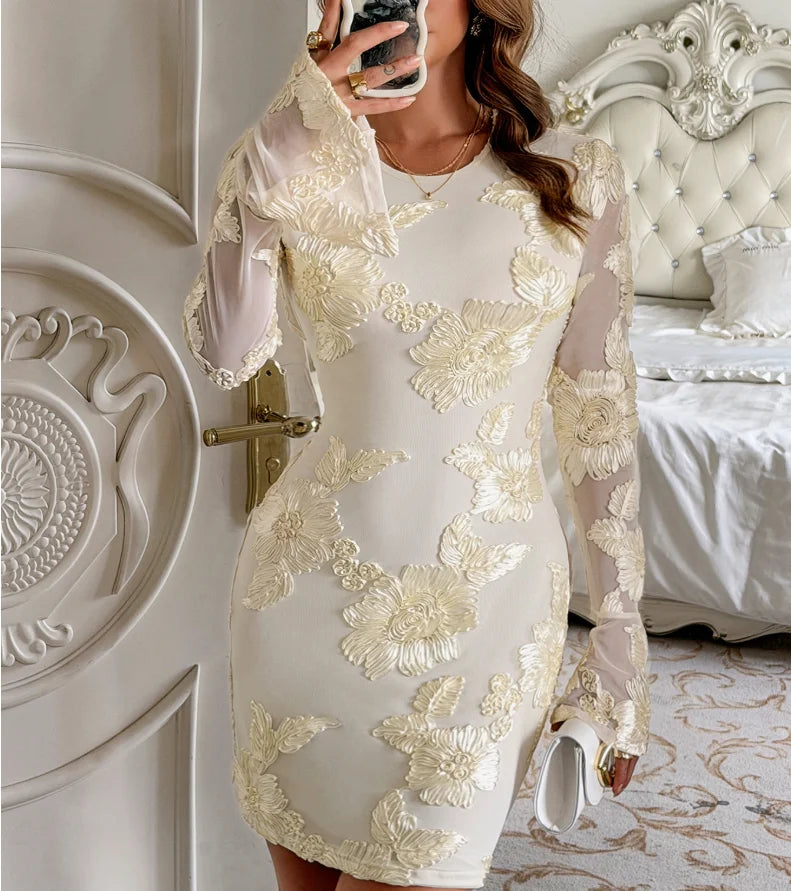 Mesh Embroidered Backless Bodycon Dress