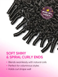 Burmese Curly Human Hair Wig – HD Lace
