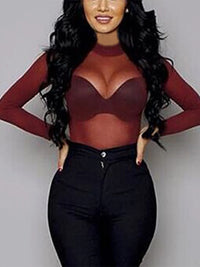 Sheer Mesh Turtleneck Long Sleeve Top