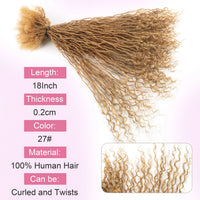 #27 Inter Curly Crochet Loc Extensions