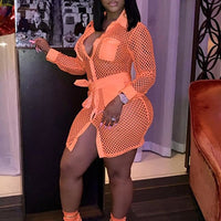 Turn-Down Collar Long Sleeve Mini Dress