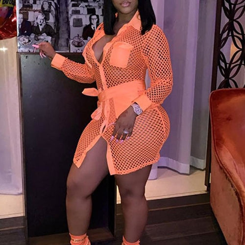Turn-Down Collar Long Sleeve Mini Dress