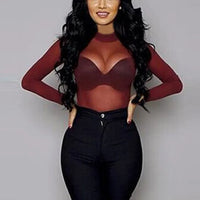Sheer Mesh Turtleneck Long Sleeve Top
