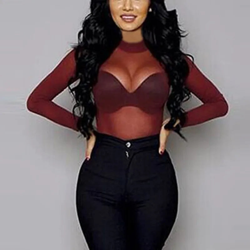 Sheer Mesh Turtleneck Long Sleeve Top