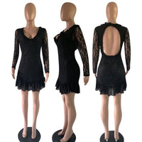 Ruffle Lace Patchwork Long Sleeve A-Line Dress