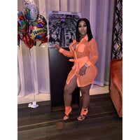Turn-Down Collar Long Sleeve Mini Dress