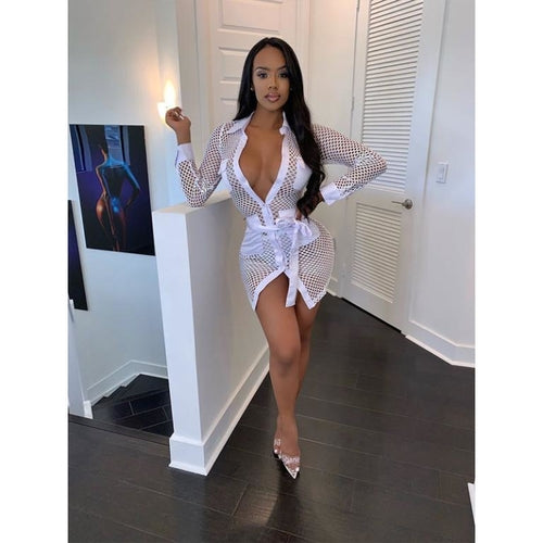 Turn-Down Collar Long Sleeve Mini Dress