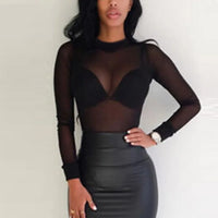 Sheer Mesh Turtleneck Long Sleeve Top