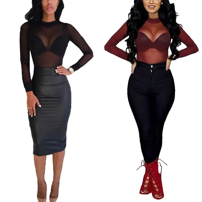 Sheer Mesh Turtleneck Long Sleeve Top