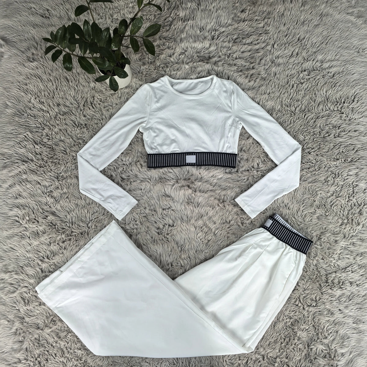 Long Sleeve Crop Top & Wide-Leg Pants Set