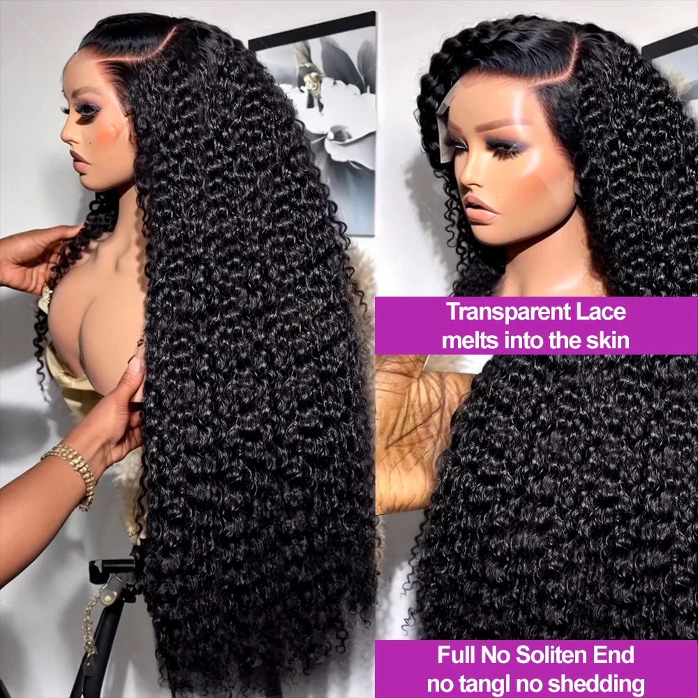 Water Wave HD Lace Front Wig