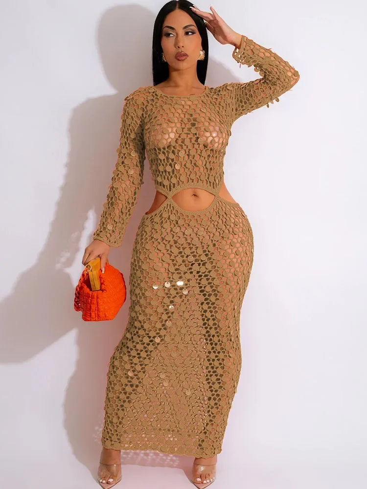 Sequined Crochet See-Through Bodycon Maxi Dress
