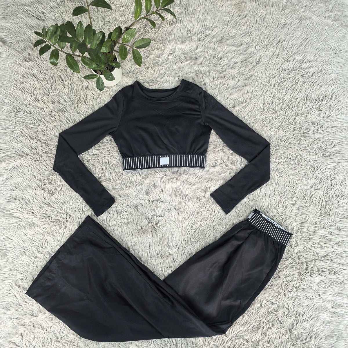 Long Sleeve Crop Top & Wide-Leg Pants Set