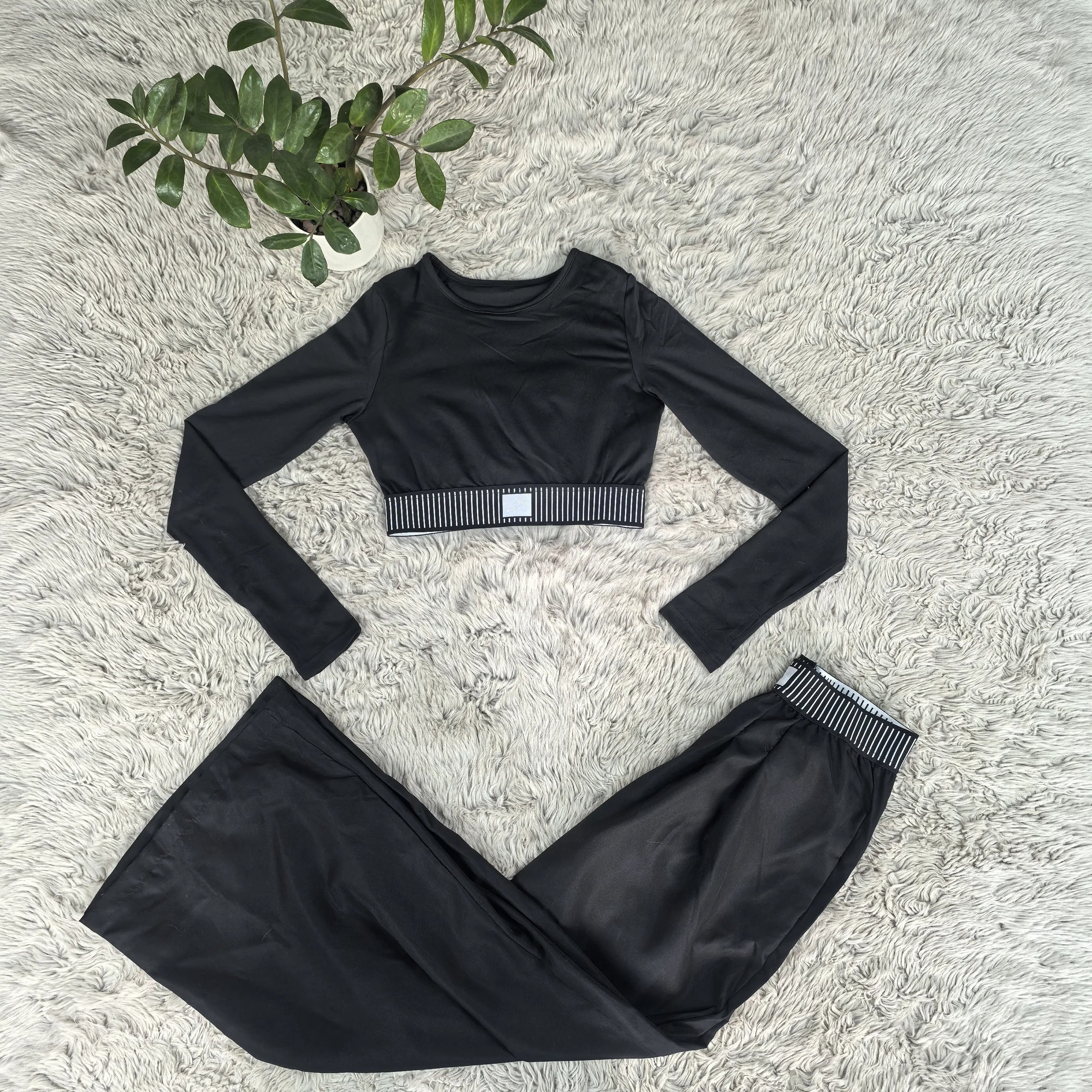 Long Sleeve Crop Top & Wide-Leg Pants Set