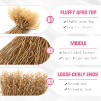#27 Inter Curly Crochet Loc Extensions