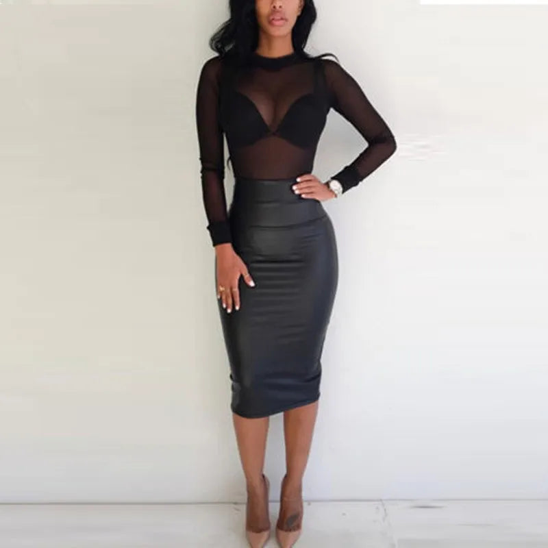 Sheer Mesh Turtleneck Long Sleeve Top