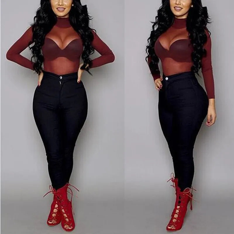 Sheer Mesh Turtleneck Long Sleeve Top