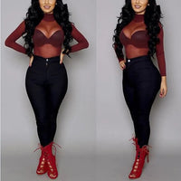 Sheer Mesh Turtleneck Long Sleeve Top