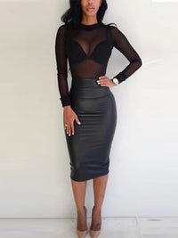 Sheer Mesh Turtleneck Long Sleeve Top