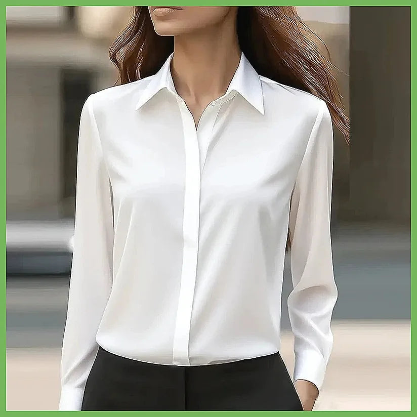 Long Sleeve Turn-Down Collar Formal Blouse