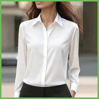 Long Sleeve Turn-Down Collar Formal Blouse