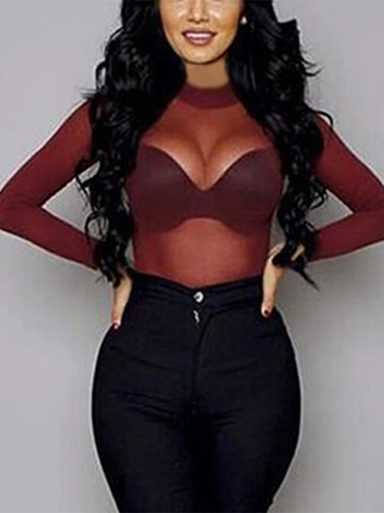 Sheer Mesh Turtleneck Long Sleeve Top